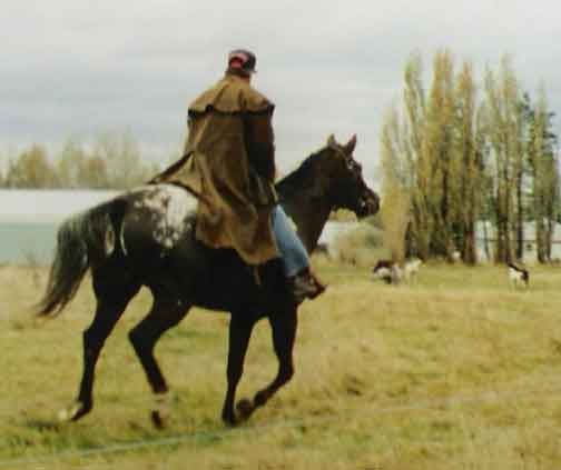 Callie and John rounding up horses